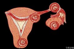 宫外孕饮食要注意什么 宫外孕不能吃什么